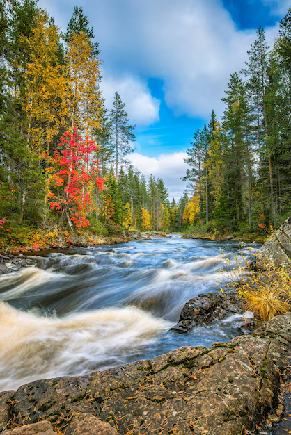 Menemukan Ritme Saat Berjalan Pelan